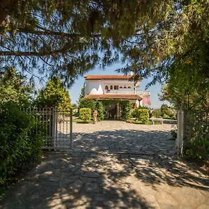 https://villa-ampelos.hotelschalkidiki.net